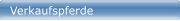 Angebote / Videos